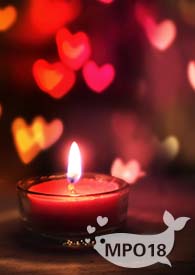 ��ƿ�����ĺ���ǰ��